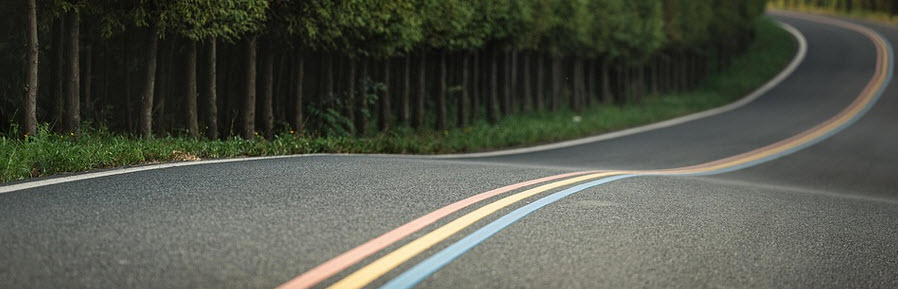 przewozy do Holandii